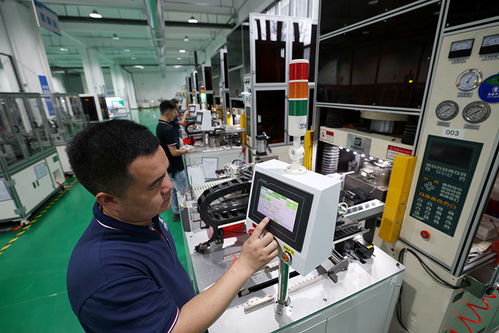 安徽合肥 培育科技型中小企業，以計算機軟硬件技術開發推動高質量發展